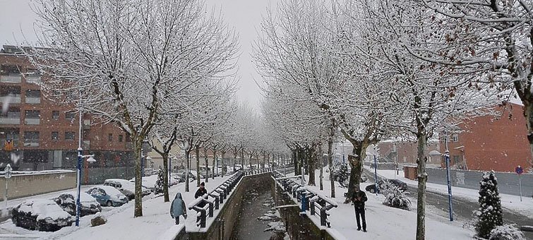 Imatge de la nevada del dimecres 4 de febrer al Pla d&#39;Urgell.
