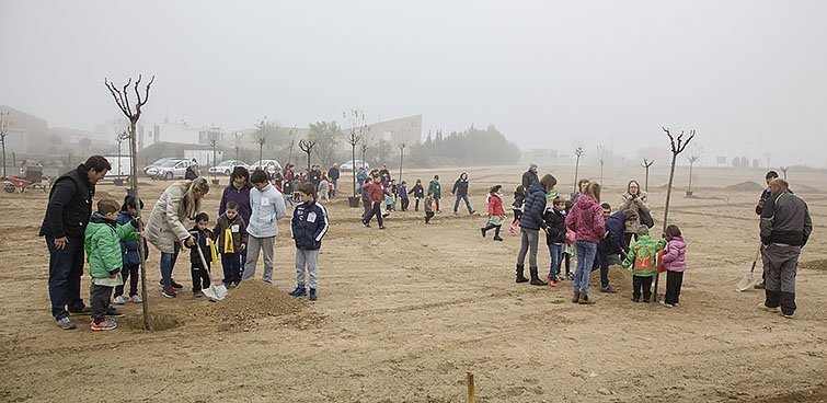 Els alumnes de l'escola l'Estel planten arbres en la nova zona verda de Castellnou de Seana