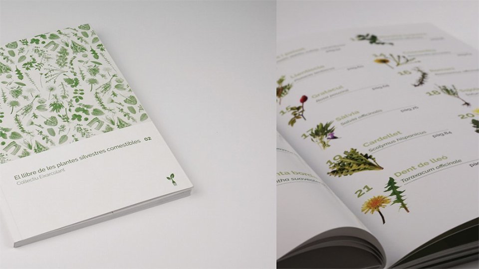 Segon volum del llibre de les plantes silvestres