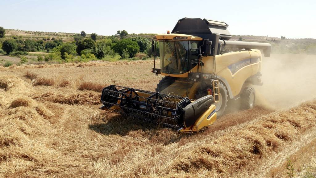 Pla general d'una màquina recol·lectora segant el blat d'una finca a Arbeca, el 24 de juliol de 2021. (Horitzontal)

Data de publicació: diumenge 25 de juliol del 2021, 10:00

Autor: Anna Berga