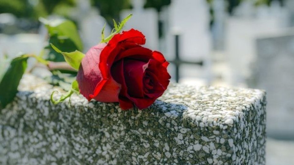 Rosa vermella damunt d'una tomba. Fotografia: Cedida.