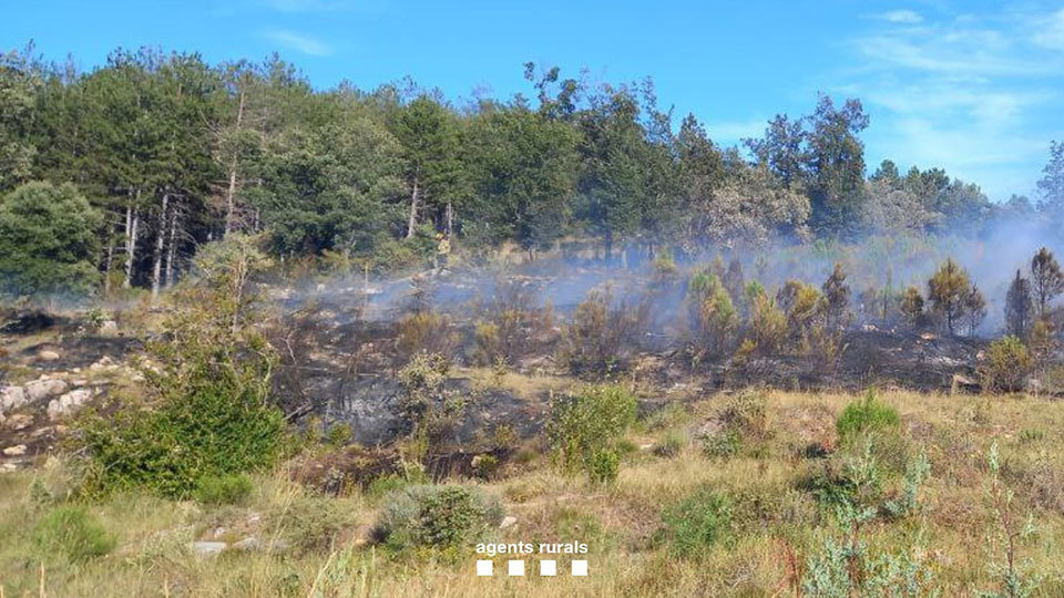 Estabilitzat l'incendi de Sant Esteve de la Sarga, - Foto: Agents Rurals