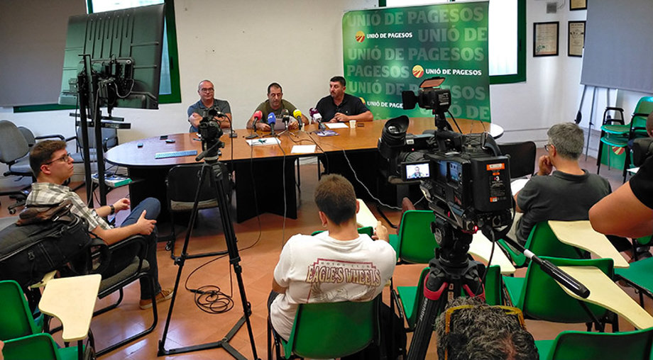 Unió de Pagesos calcula que la sequera ha afectat entre el 60% i el 90% a la collita d'oliva - Foto: Unió de Pagesos