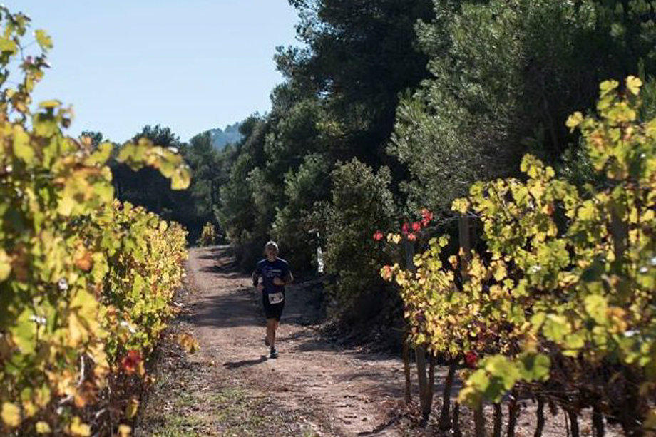 Un corredor durant la Cursa i Caminada Entre Vinyes Tomàs Cusiné - Foto: Castell del Remei