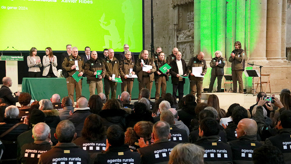 Alguns dels Agents Rurals que han estat reconeguts a l'acte del Dia del Cos d'Agents Rurals celebrat a la Seu Vella de Lleida

Data de publicació: divendres 12 de gener del 2024, 14:41

Localització: Lleida

Autor: Anna Berga