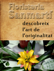 Publicidad Floristeria Sanmartí