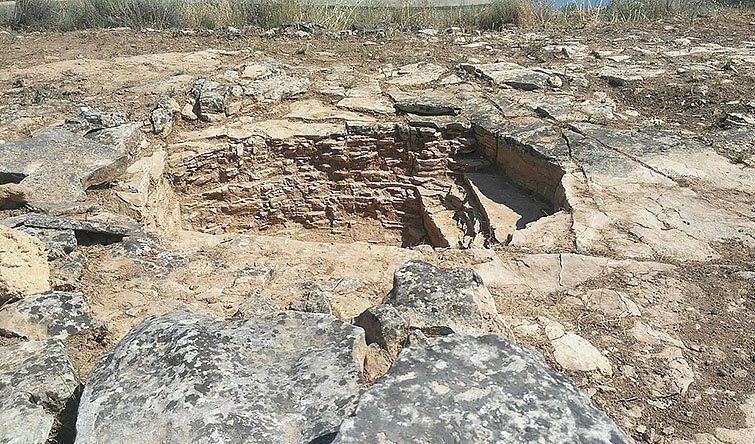 jaciment aitona 3 texte