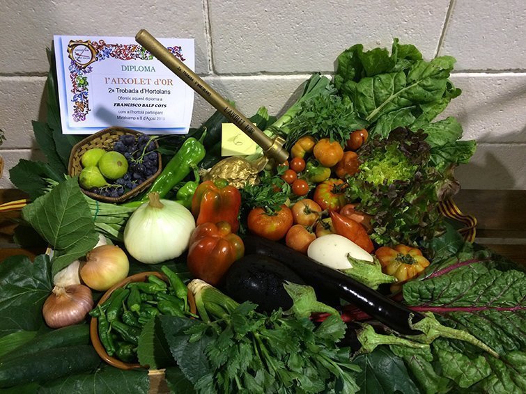 Trobada Hortolans 2016 Miralcamp