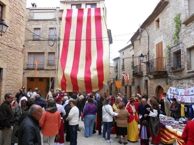 Una gran senyera va presidir la diada
