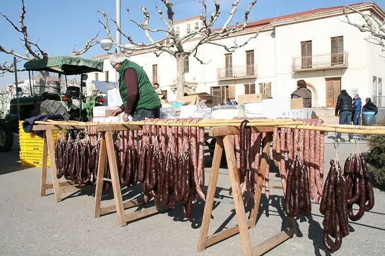 Carnestoltes Poal (9)