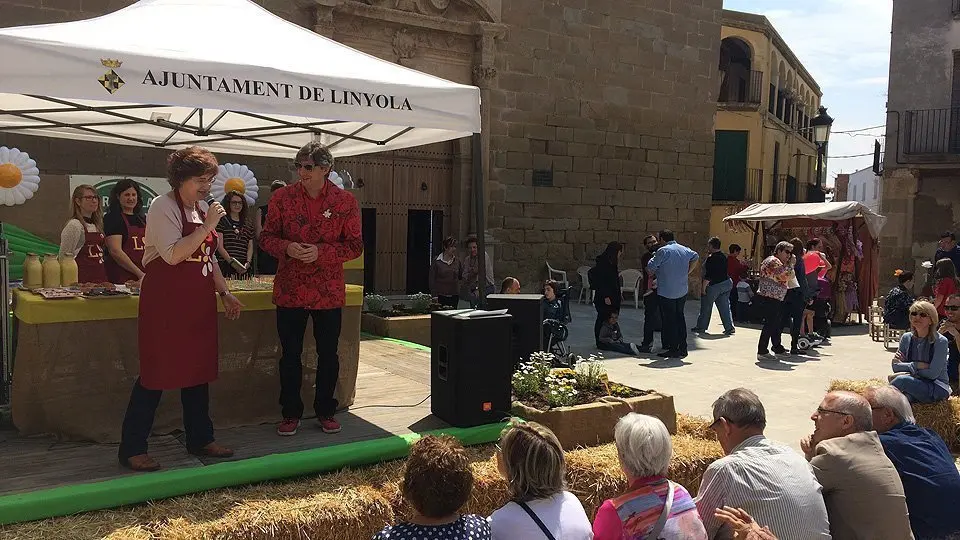 Activitats en la Fira de la Camamilla de Linyola (2)