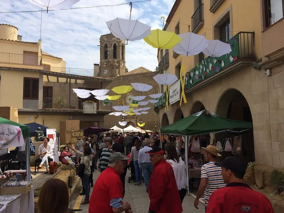 Activitats en la Fira de la Camamilla de Linyola (7)