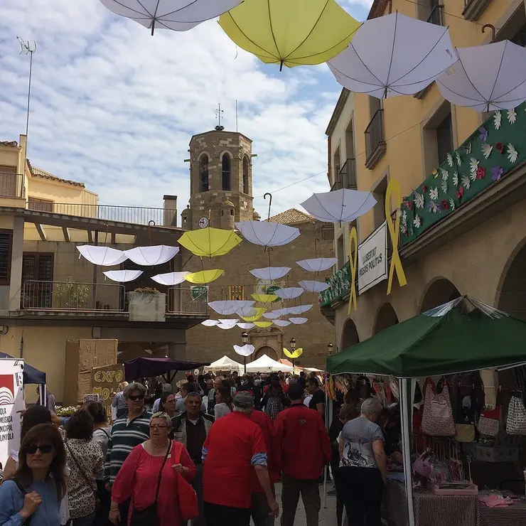 Activitats en la Fira de la Camamilla de Linyola (8)