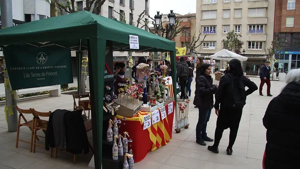 Diada Sant Jordi a Mollerussa (4)