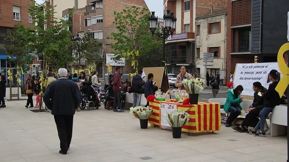 Diada Sant Jordi a Mollerussa (5)