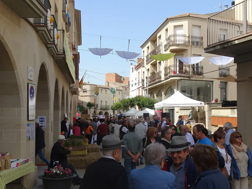 Actes de la Festa Major de Linyola 2023 - Foto: Ester Barta