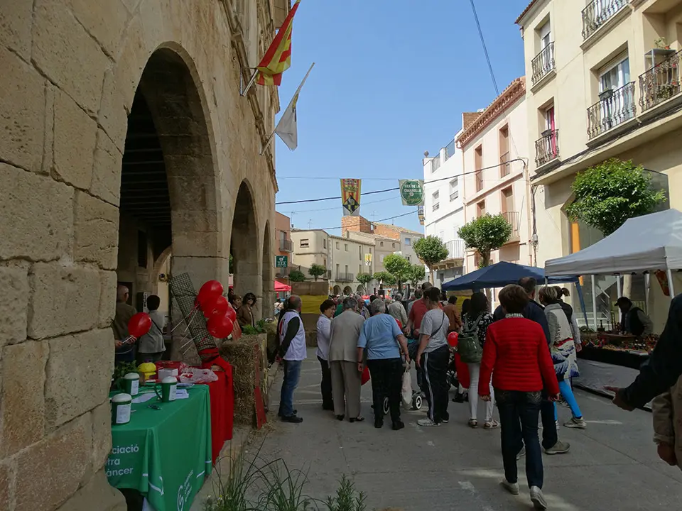 Actes de la Festa Major de Linyola 2023 - Foto: Ester Barta
