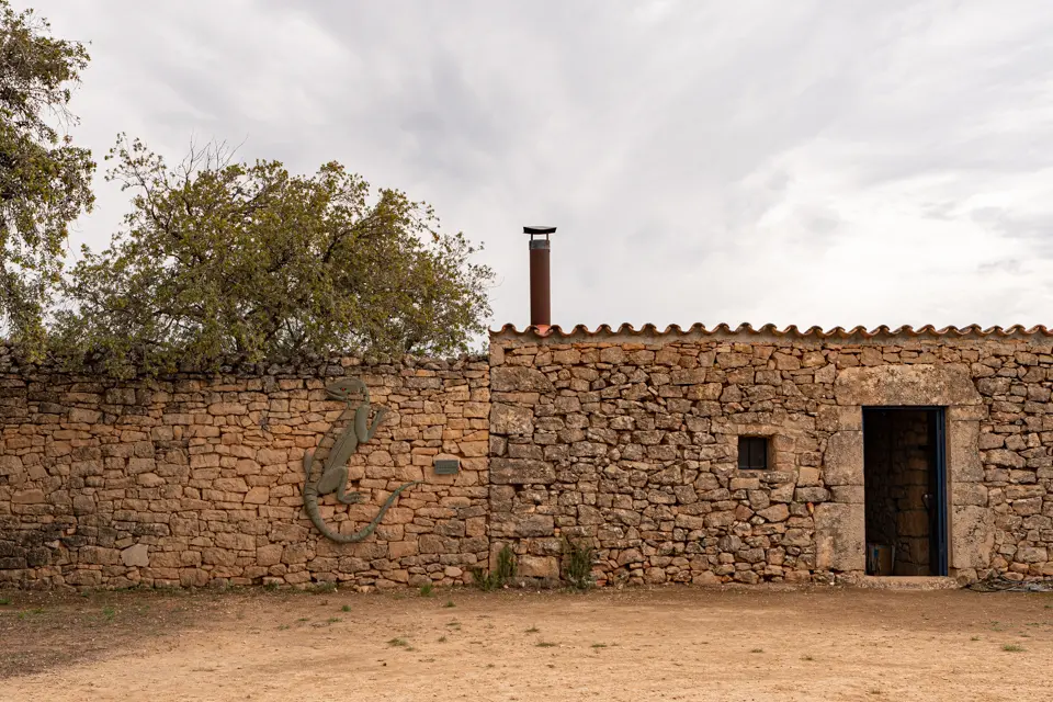 En 'Llanga', obra de Josep Vallverdú, protagonitza la 12a Vinya dels Artistes del Celler Mas Blanch i Jové - Foto: Jordi Vinuesa