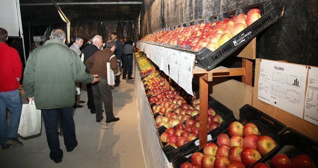 La jornada va presentar 120 varietats de fruita dolça, pera, poma i pinyol.