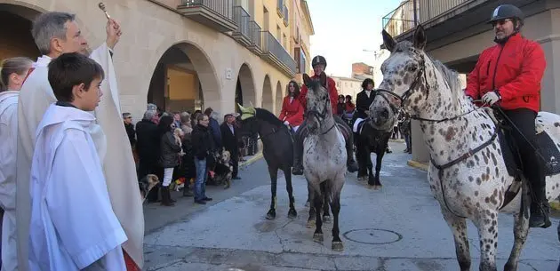 La benedicció dels animals que van participar en els Tres Toms.