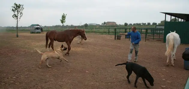 Oscar en la finca OM am