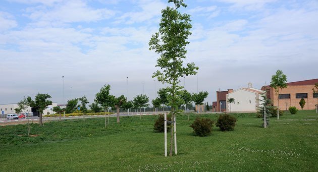 La zona verda es troba al darrera de l&#39;ermita de Sant Roc.