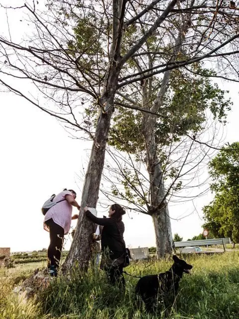 L&#39;acció de protesta va tenir lloc a mitja tarda