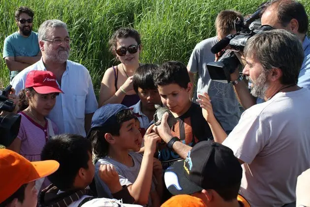 El petits van participar en l&#39;alliberament dels nous exemplars de tortuga.