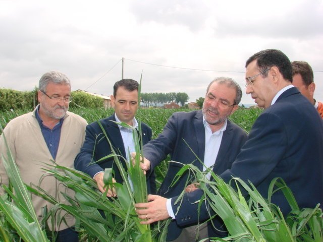 El president de la Diputació, Joan Reñé, i el delegat del Govern a Lleida, Ramon Farré, van visitar les zones afectades d&#39;Arbeca el passat dia 19