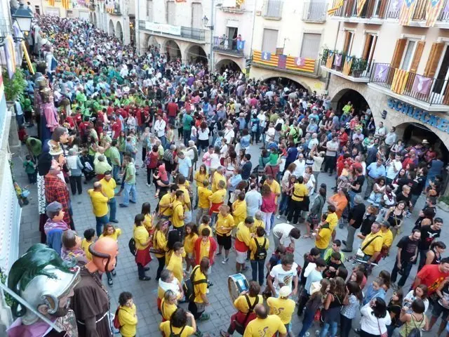 La Trobada de Gegants arriba enguany a la 31a edició