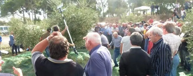 El públic ha pogut contemplar una demostració sobre com collir olives amb un rasclet mecànic