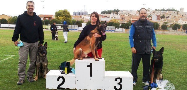 Campionat Catalunya gossos ensinistrats