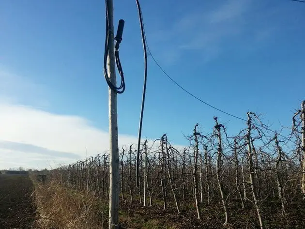 Els lladres no van poder endur-se el cable per l&#39;alarma i l&#39;actuació dels Mossos.