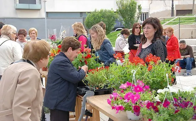 L&#39;associació  de Dones de Sidamon, va posar a l&#39;abast del públic una varietat de plantes.