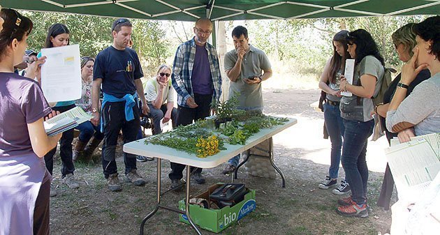 Josep Maria Vilaró mostra als participants les plantes i les seves propietats.