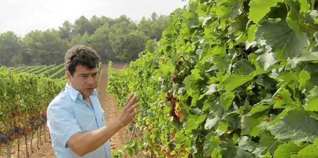 L&#39;enòleg i propietari del celler Tomàs Cusinè.