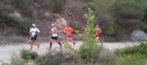 Transllena 2013 a la Pobla de Cérvoles