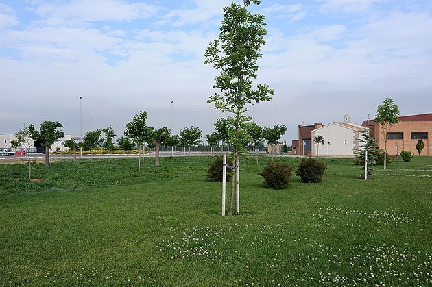 Imatge del Parc de Sant Roc al Palau d&#39;Anglesola.