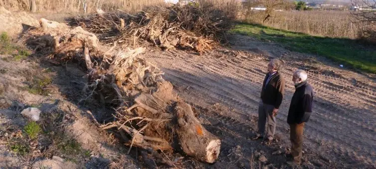 Enric Mir i Francesc Macià a la banqueta del canal