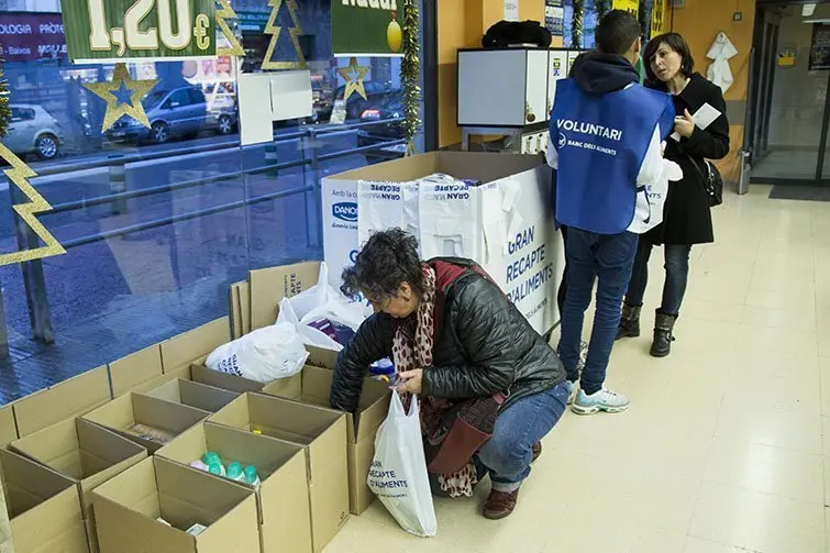 Voluntaris que han participat en la campanya del Gran Recapte al Pla d&#39;Urgell.