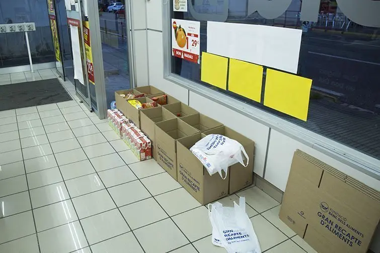 Voluntaris que han participat en la campanya del Gran Recapte al Pla d&#39;Urgell.