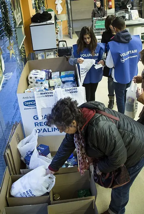 Voluntaris que participen en el Gran Recapte del Pla d&#39;Urgell