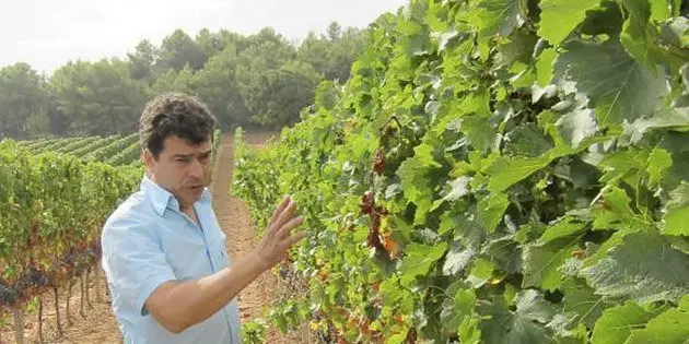 Tomàs Cusiné en les finques del celler de la seva propietat al Vilosell, les Garrigues.