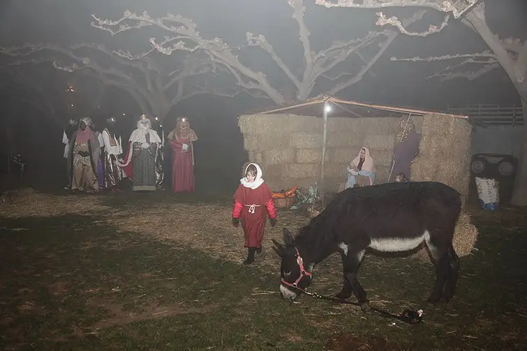 Cavalcada Pessebre Fondarella (1)
