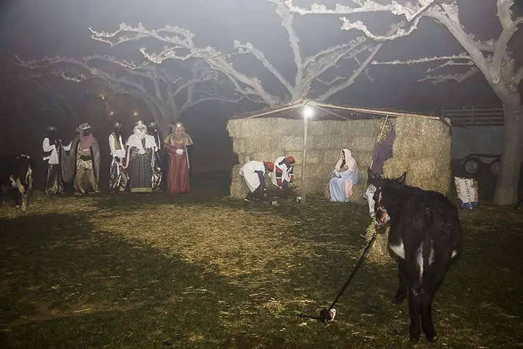 Cavalcada Pessebre Fondarella (12)