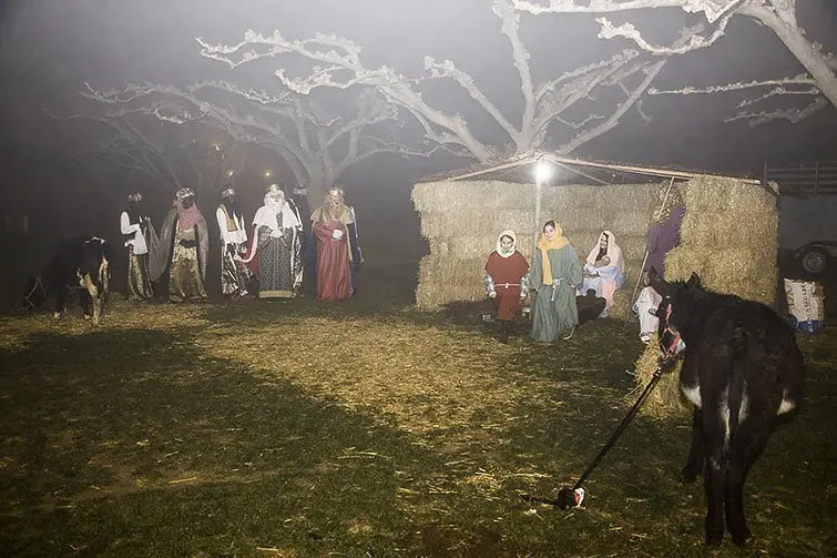 Cavalcada Pessebre Fondarella (13)
