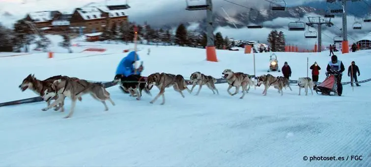 Campionat de Catalunya de Mushing neu