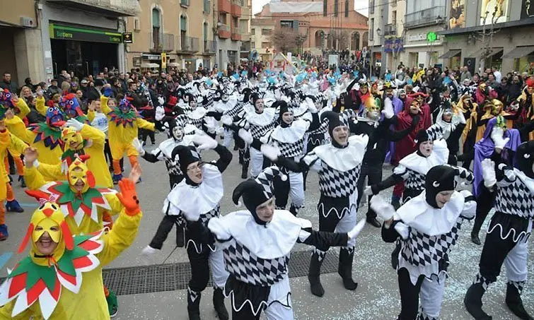 Imatge de la Rua de Carnestoltes de l&#39;edició de 2014.