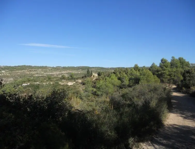 Ruta a peu la vora del Canal Segarra Garrigues a Arbeca