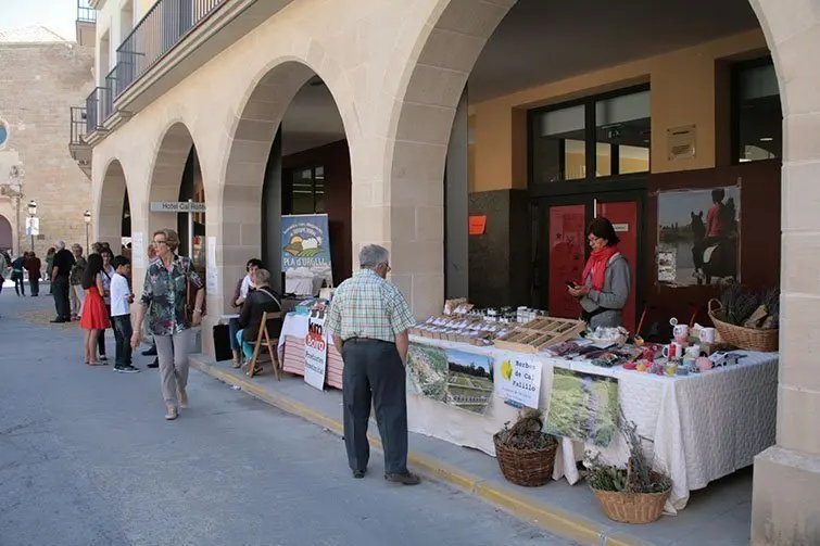 Les parades que van participar en la Fira de la Camamilla de Linyola.